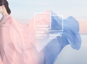 diseno-web-tendencias-2016-color-oficial-pantone